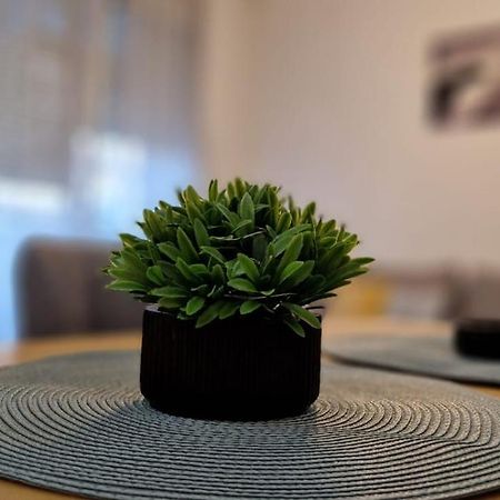 Apartment Luki Újvidék Kültér fotó