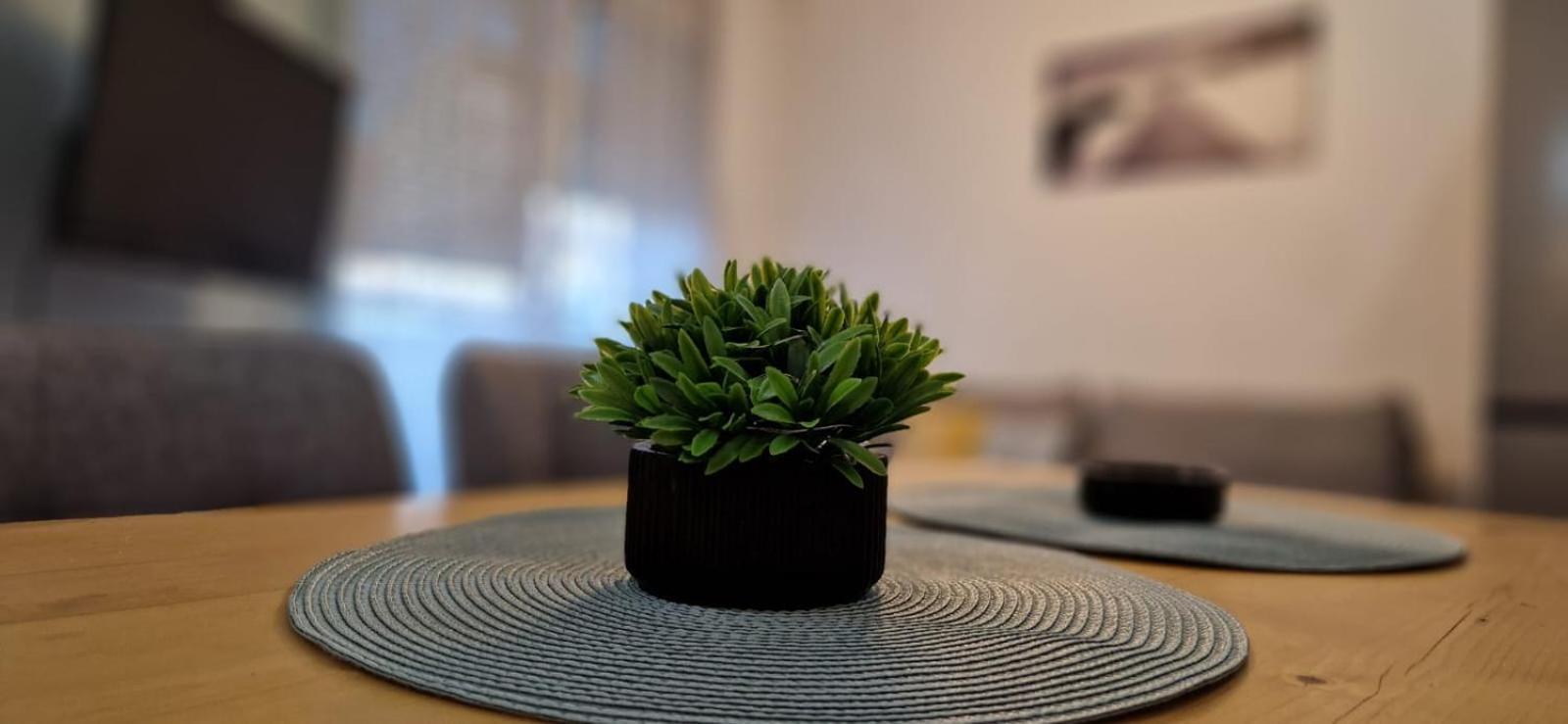 Apartment Luki Újvidék Kültér fotó